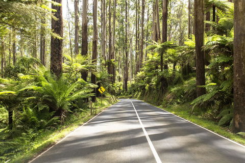 Peppers Marysville - Accommodation NT 21
