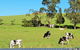 Coragulac House Cottages - thumb 22