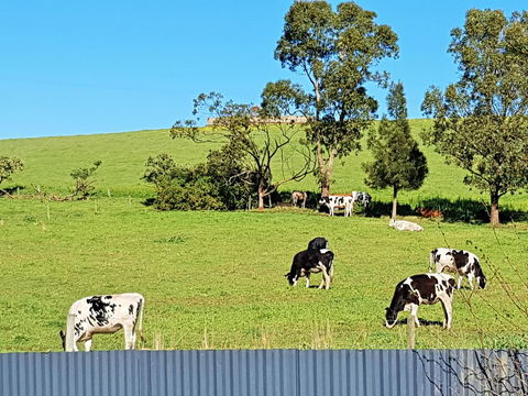 Coragulac House Cottages - Accommodation NT 22