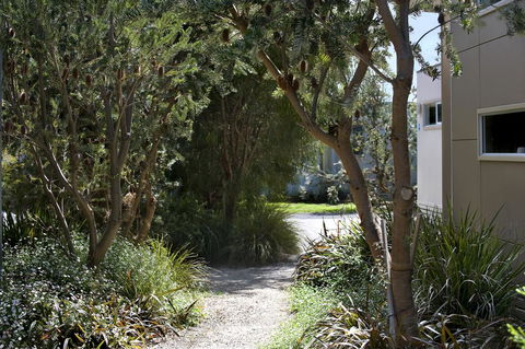 BIG4 Ingenia Holidays Queenscliff Beacon - Accommodation NT 13