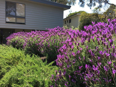 Kookas Retreat - Accommodation NT 14