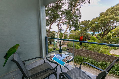 Lorne Surf Apartments - NT Tourism 21