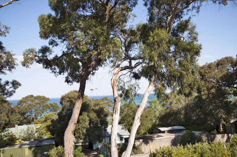 Lorne Surf Apartments - NT Tourism 6