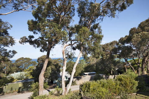Lorne Surf Apartments - NT Tourism 11