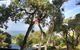 Lorne Surf Apartments - thumb 4