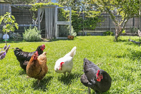 Bilinga Cottages - Accommodation NT 16