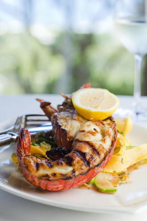 Chris\'s Beacon Point Restaurant & Villas - NT Tourism 8