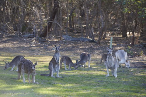 Yering Gorge Cottages - NT Tourism 14