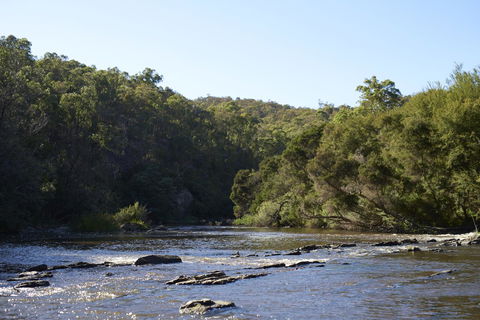 Yering Gorge Cottages - NT Tourism 21