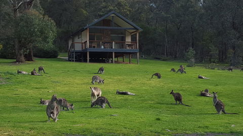 Yering Gorge Cottages - NT Tourism 6