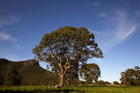 Dunkeld Studio Accommodation - Accommodation NT 23