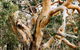 Dunkeld Studio Accommodation - thumb 22