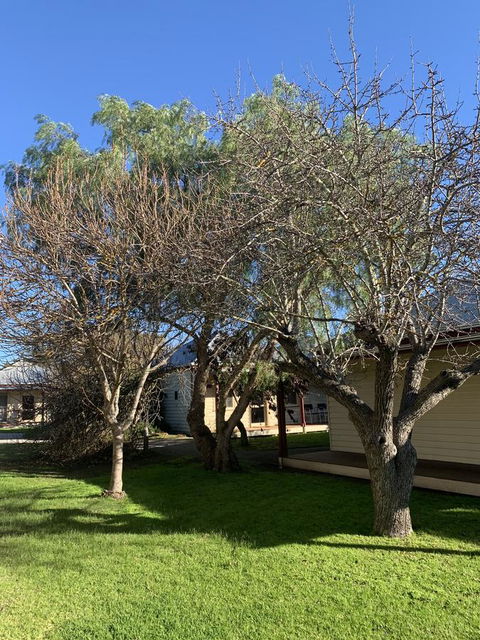 Dunkeld Studio Accommodation - Accommodation NT 4
