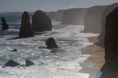 The Dolphin Apartments - Accommodation NT 10