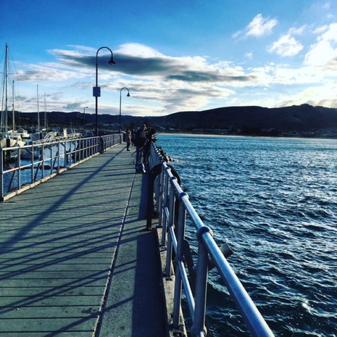 The Dolphin Apartments - Accommodation NT 16