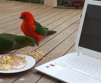 Book Foster Accommodation Vacations Accommodation NT Accommodation NT
