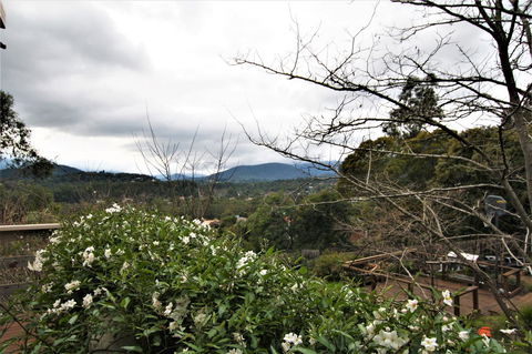 Hamptons In Healesville - NT Tourism 13