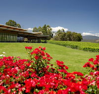 Balgownie Estate Vineyard Resort  Spa - NT Tourism