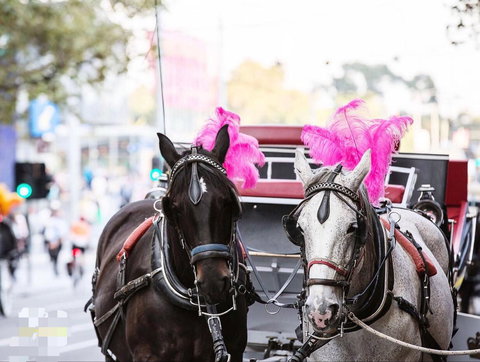 Sky City Serviced Apartment - Accommodation NT 1