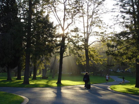 Executive Stay Little Collins Street - Accommodation NT 23