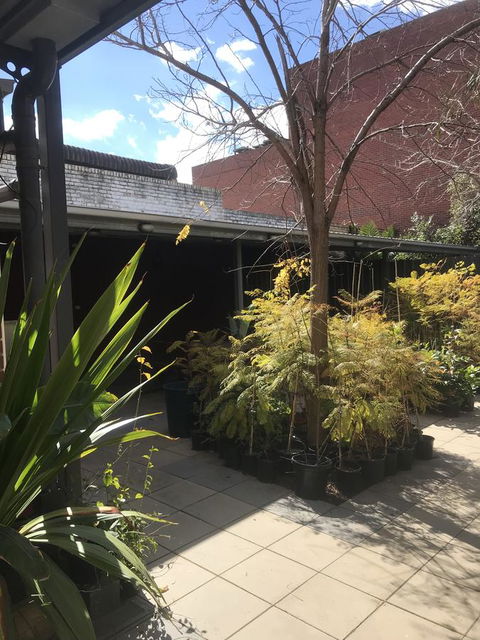 CROWN CENTRAL BUSINESS DISTRICT MOTEL - NO UNDER 18s - NT Tourism 21