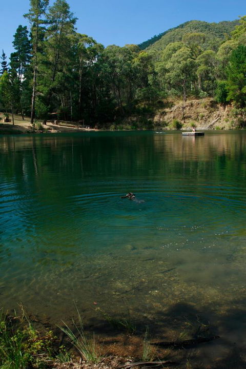 The Harrietville Snowline Hotel - NT Tourism 38