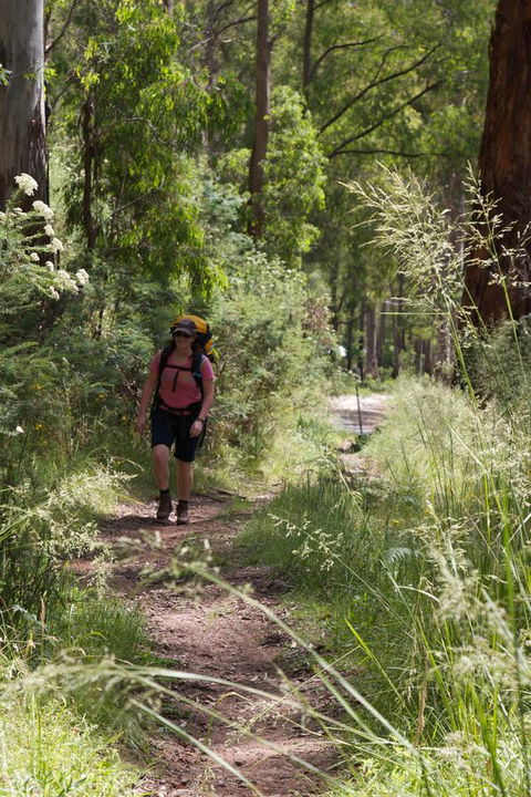The Harrietville Snowline Hotel - NT Tourism 11