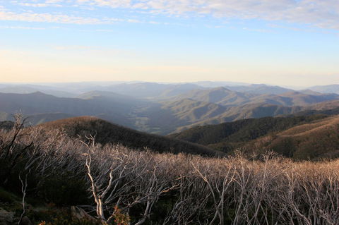 The Harrietville Snowline Hotel - NT Tourism 36