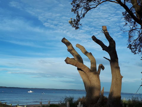 Apartments In Phillip Island Towers - Block C - NT Tourism 10