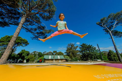 BIG4 Castlemaine Gardens - Accommodation NT 21