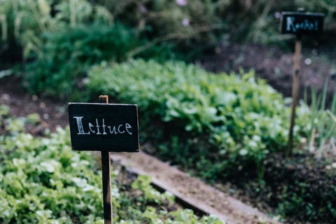 Acre Of Roses - Accommodation NT 6