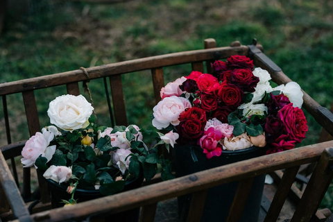 Acre Of Roses - Accommodation NT 21