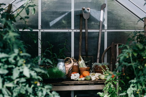 Acre Of Roses - Accommodation NT 16