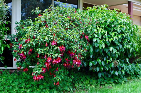 Crimea Retreat - Accommodation NT 18