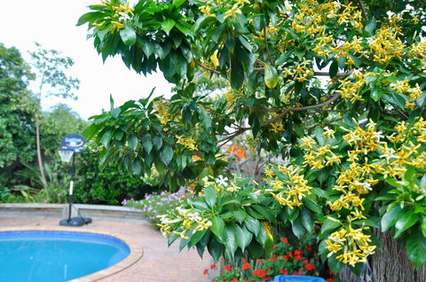 Crimea Retreat - Accommodation NT 20