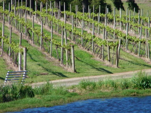De\'Vine Escape - NT Tourism 13