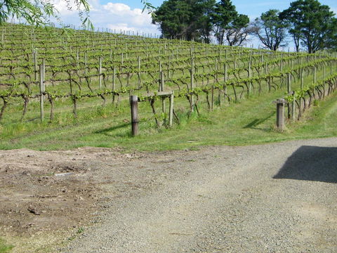 De\'Vine Escape - NT Tourism 23