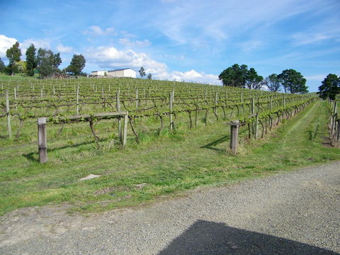 De\'Vine Escape - NT Tourism 30