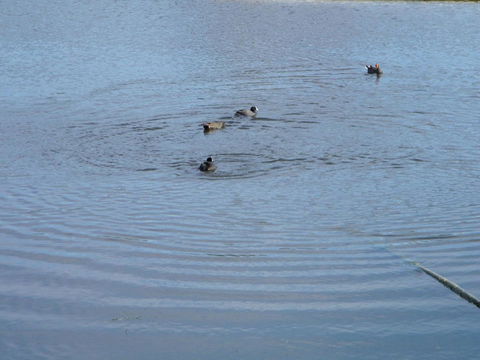 De\'Vine Escape - NT Tourism 21