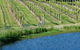 De\'Vine Escape - thumb 29