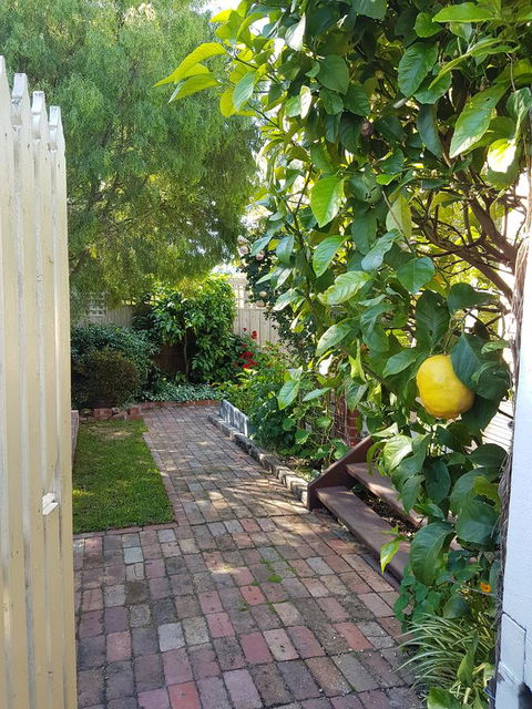 Healesville House - Fig Tree House - Accommodation NT 17