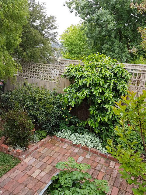 Healesville House - Fig Tree House - Accommodation NT 21