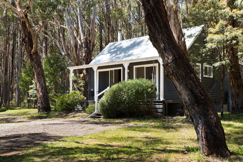 Bodhi Daylesford - Accommodation NT 26