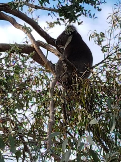 Beach Retreat Apartment Marengo - Accommodation NT 12