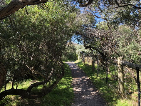 Beautiful, Cosy And Quiet - Accommodation NT 20