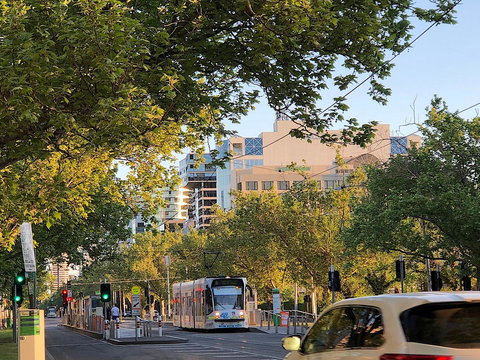 Fawkner Apartment Bay-view 4 - Accommodation NT 17
