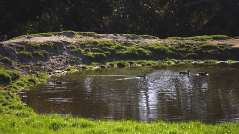 Limosa Rise - Accommodation NT 15