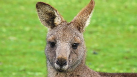 Limosa Rise - Accommodation NT 16