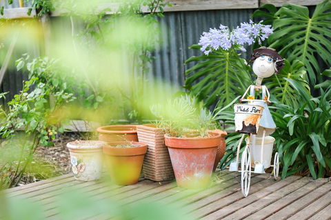 Miss Pym's Cottage - Accommodation NT 7