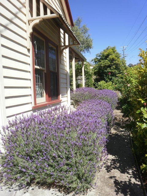 Miss Pym's Cottage - Accommodation NT 44